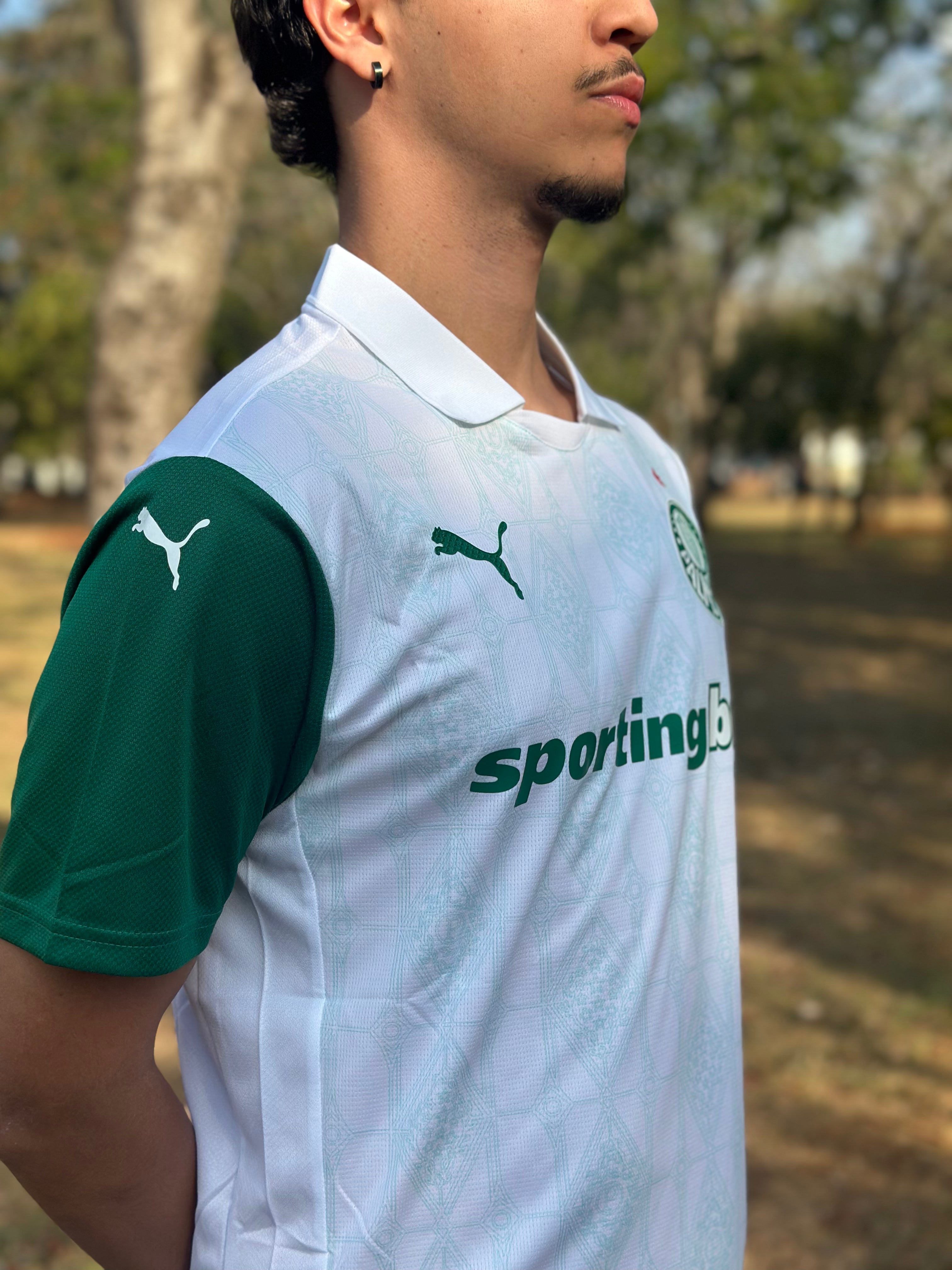 Camisa Palmeiras II 2025