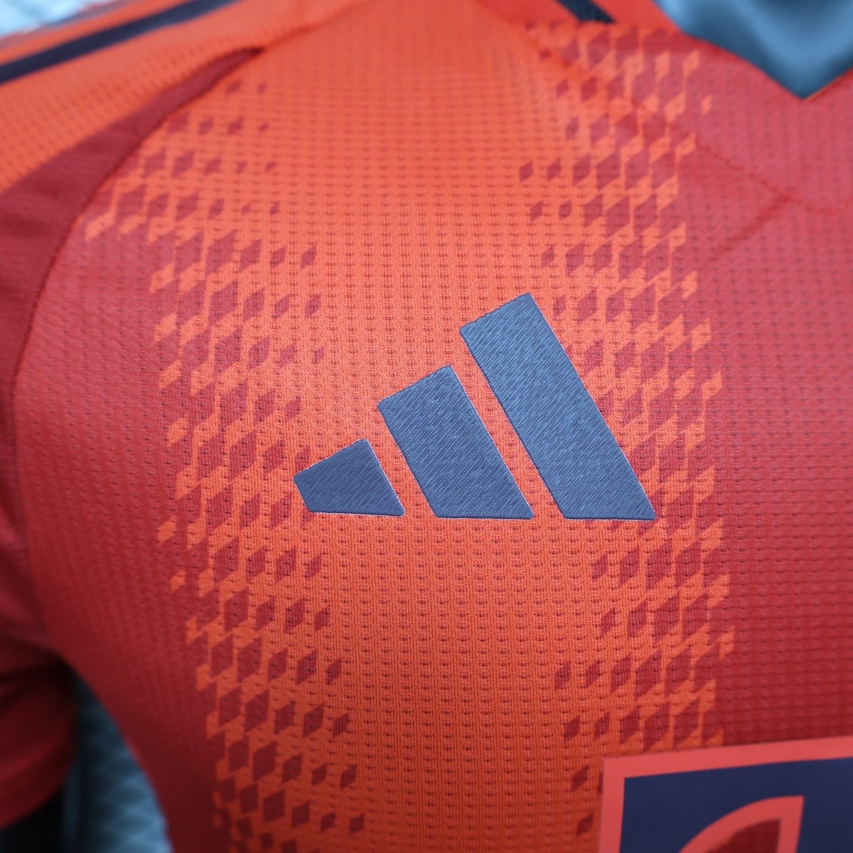 Camisa do Bayern München Home 24/25 Jogador