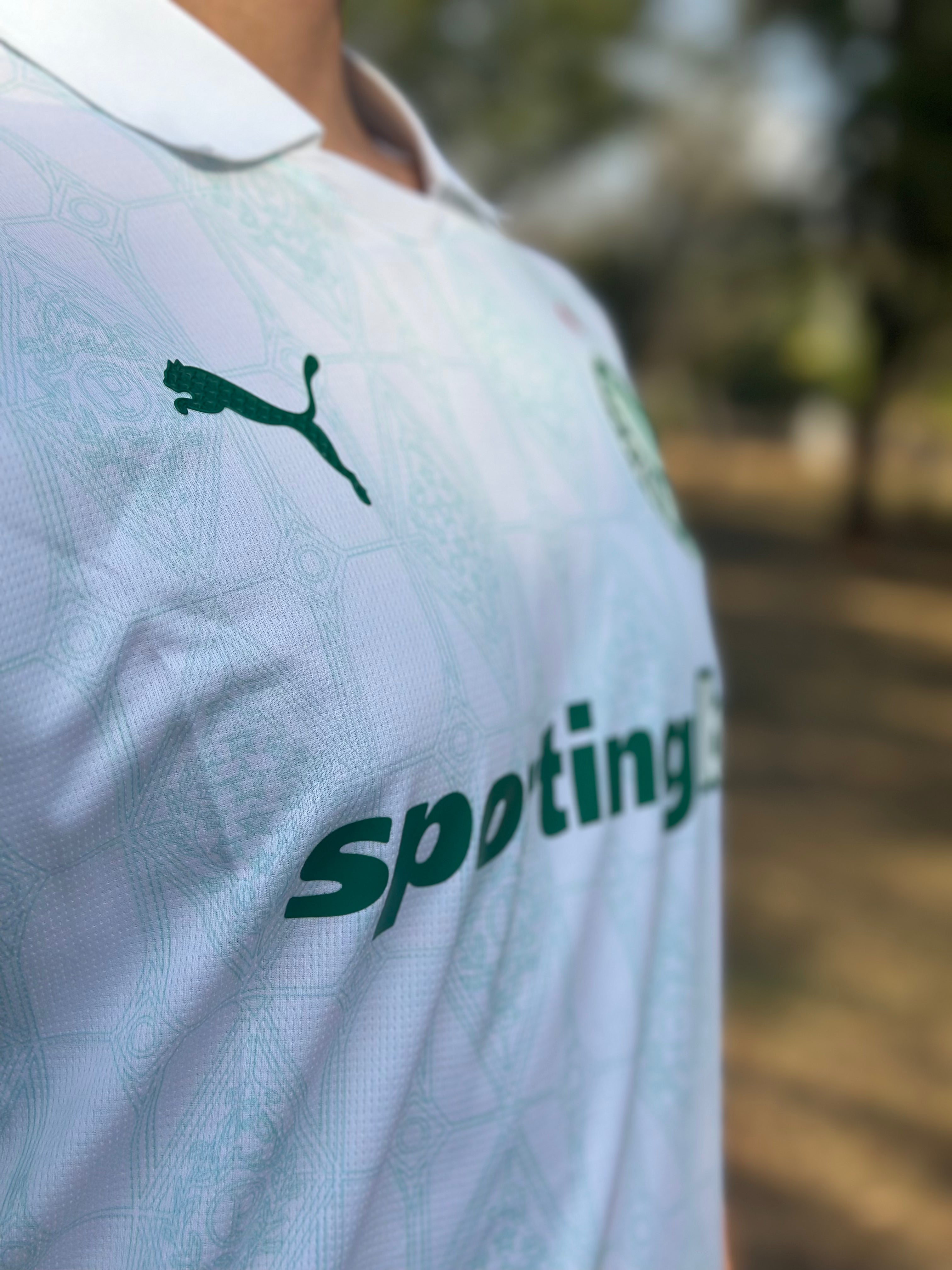 Camisa Palmeiras II 2025