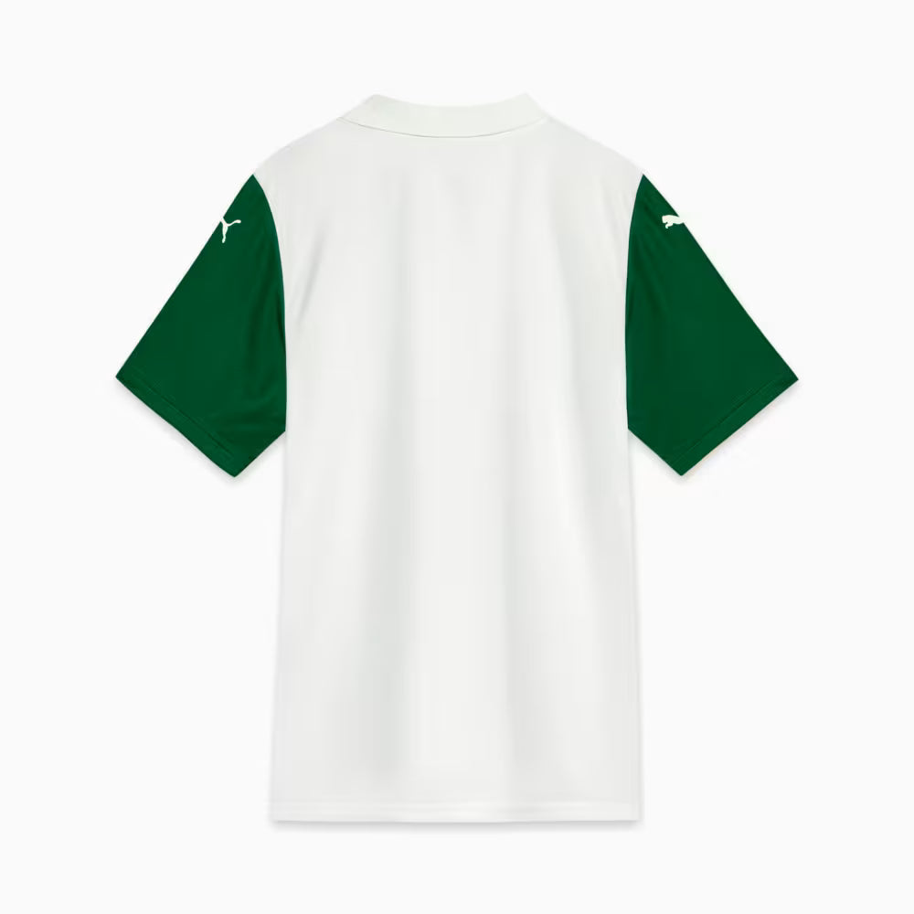 Camisa Palmeiras II 2025